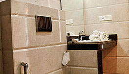 Hotel Sher-E-Punjab -Premium Room-3