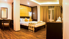 Hotel Sher-E-Punjab -Deluxe Room-7