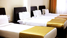 Hotel Sher-E-Punjab -Lobby